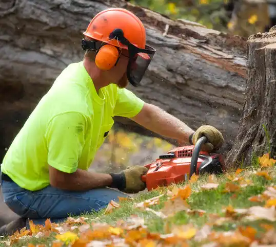 tree services Grand Coteau